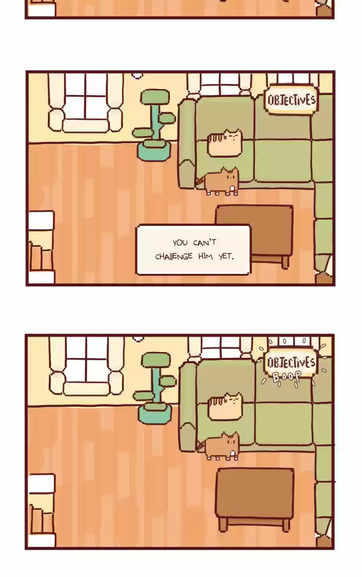 Saphie: The One-Eyed Cat 16