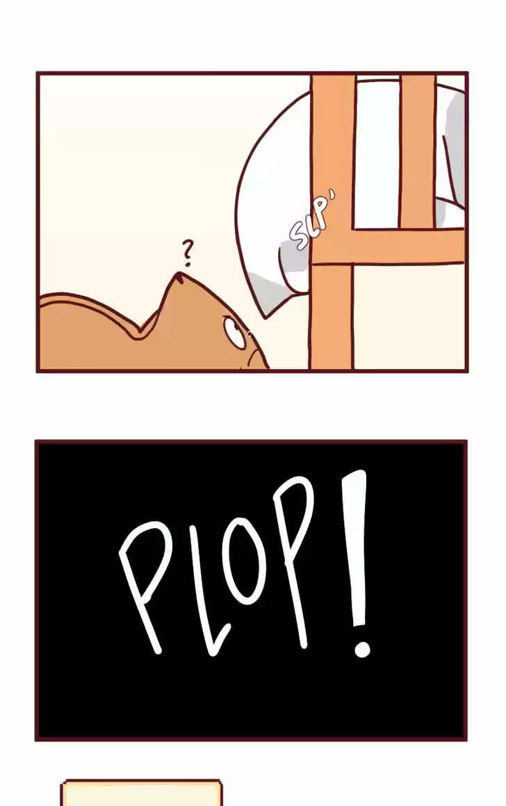 Saphie: The One-Eyed Cat 16