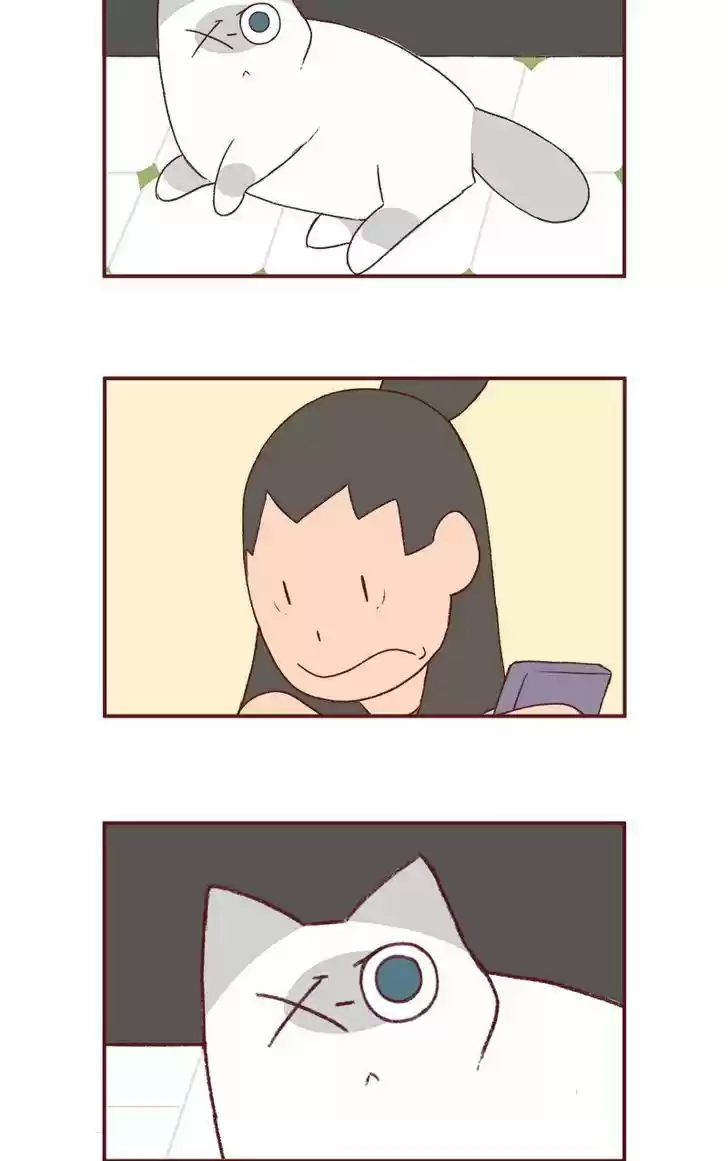 Saphie: The One-Eyed Cat 160