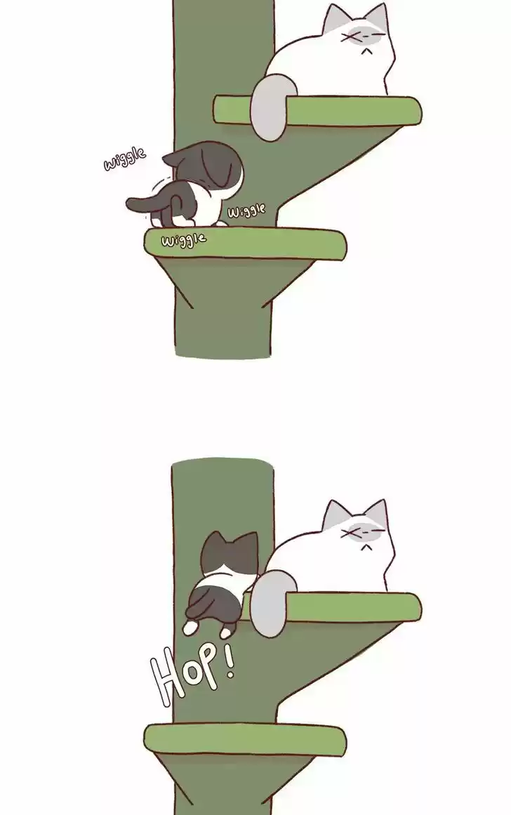 Saphie: The One-Eyed Cat 162