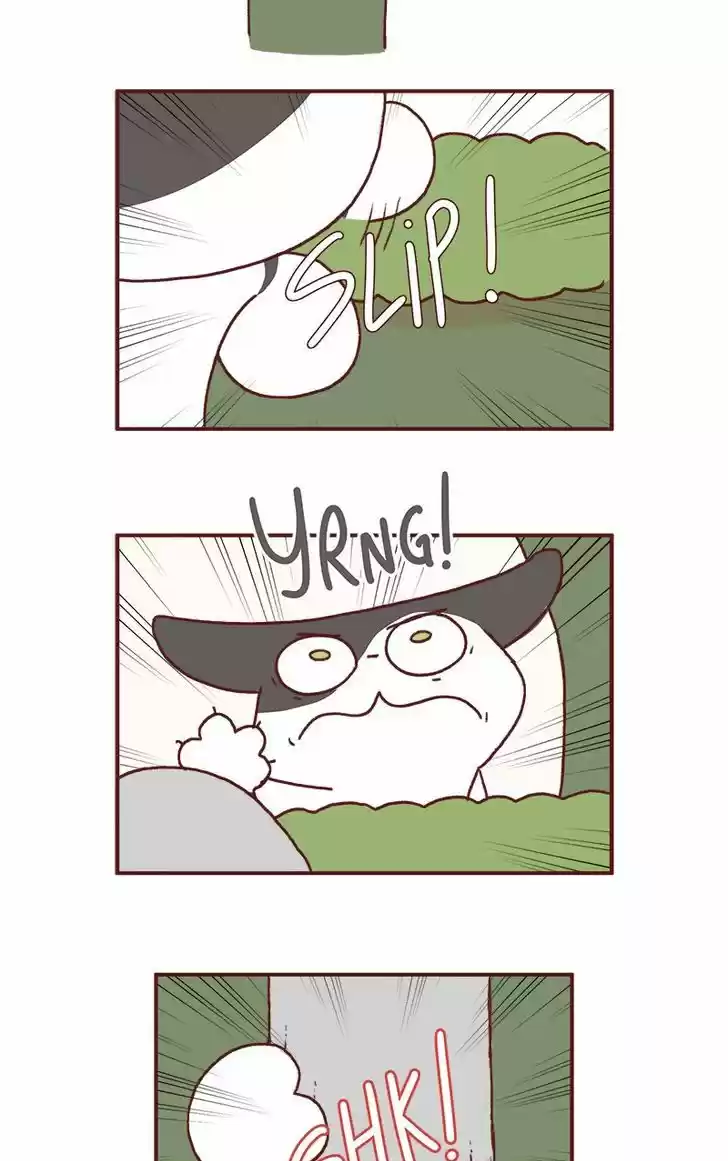 Saphie: The One-Eyed Cat 162