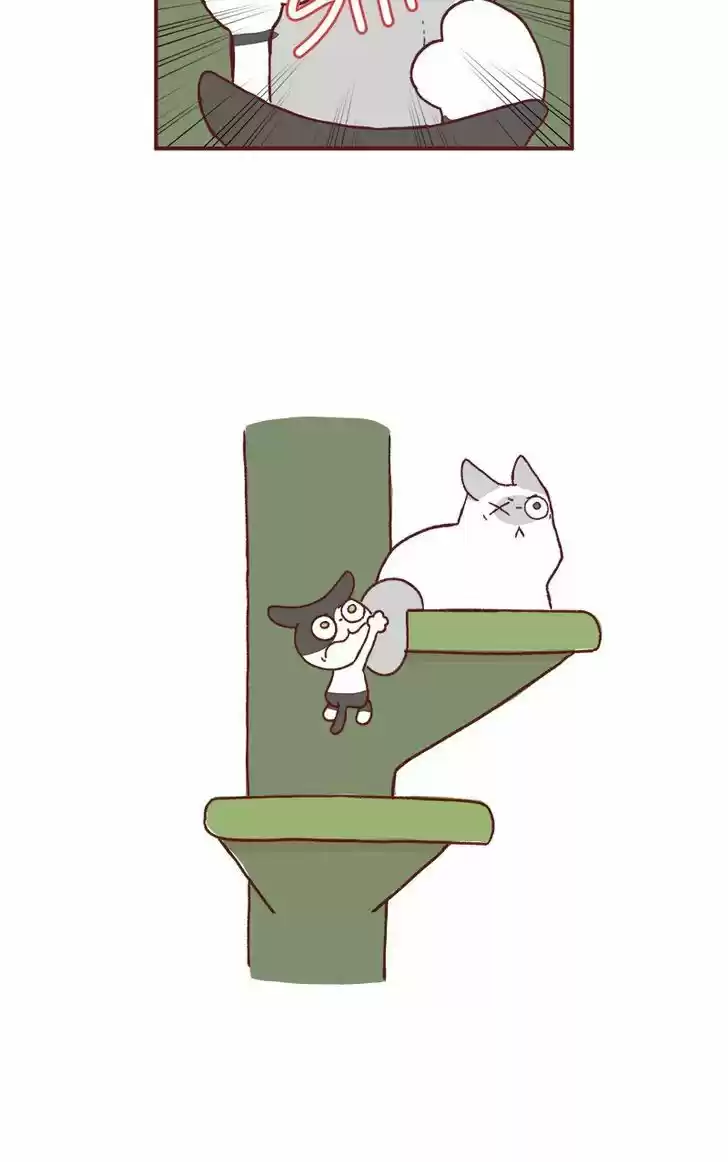 Saphie: The One-Eyed Cat 162