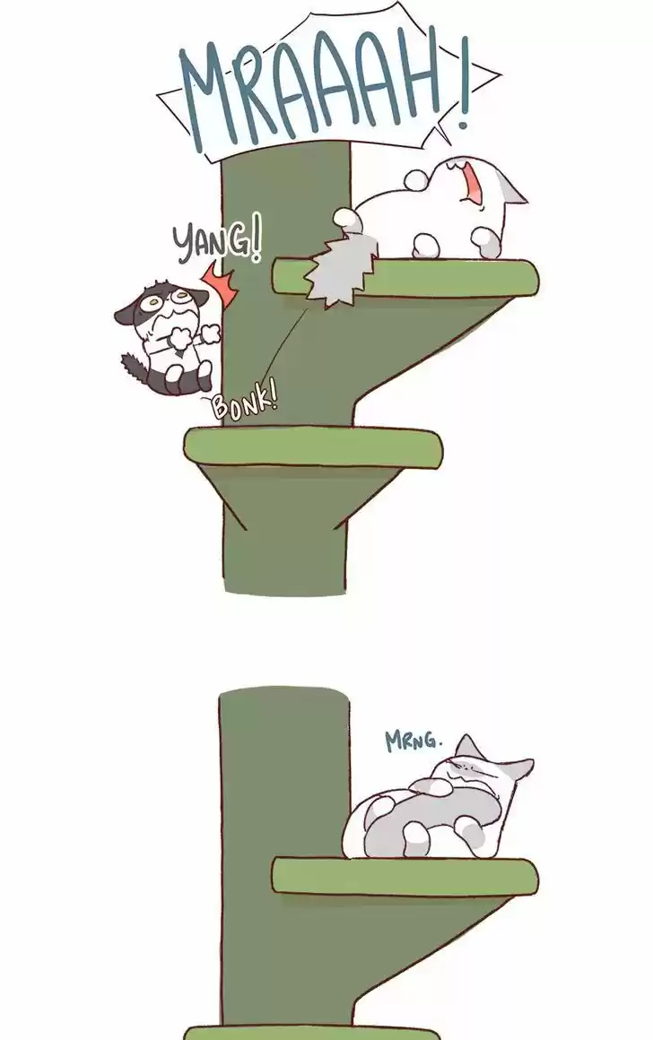 Saphie: The One-Eyed Cat 162