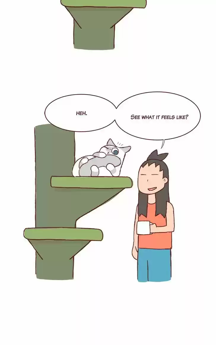 Saphie: The One-Eyed Cat 162