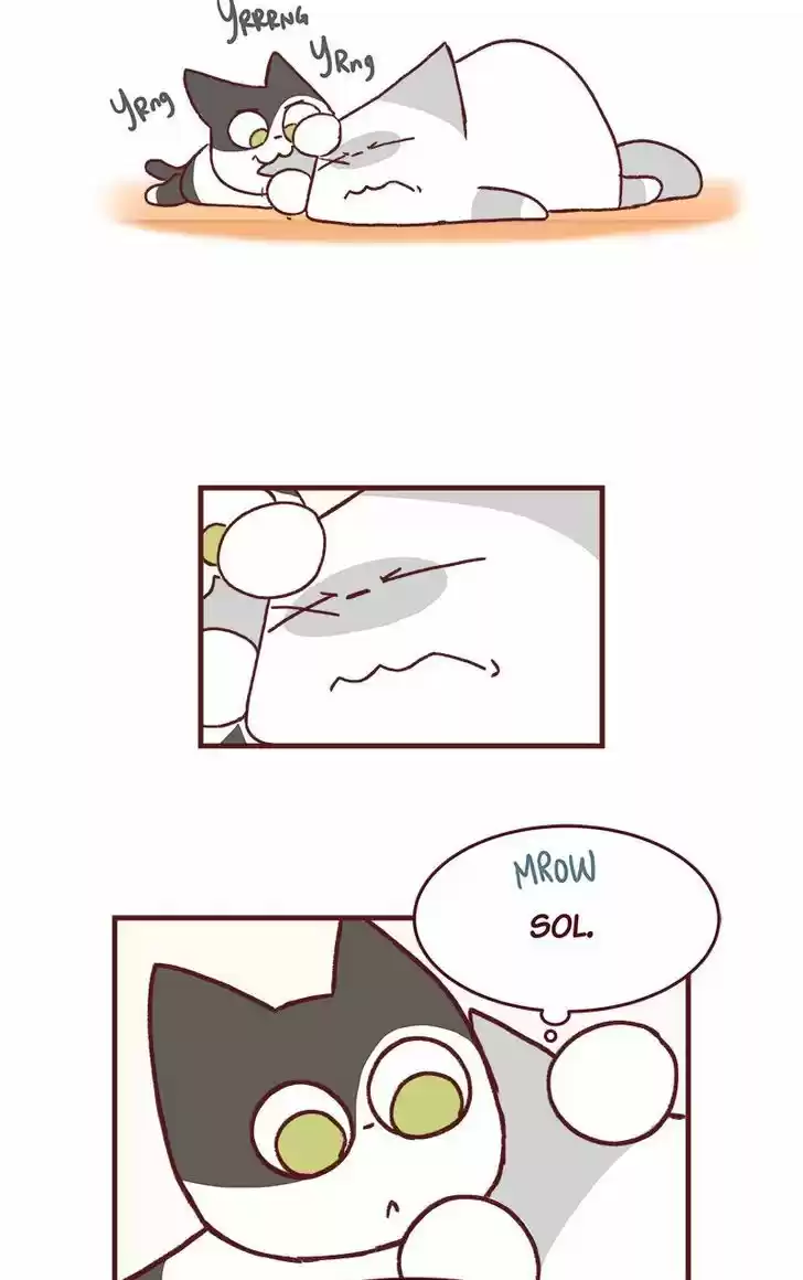 Saphie: The One-Eyed Cat 163