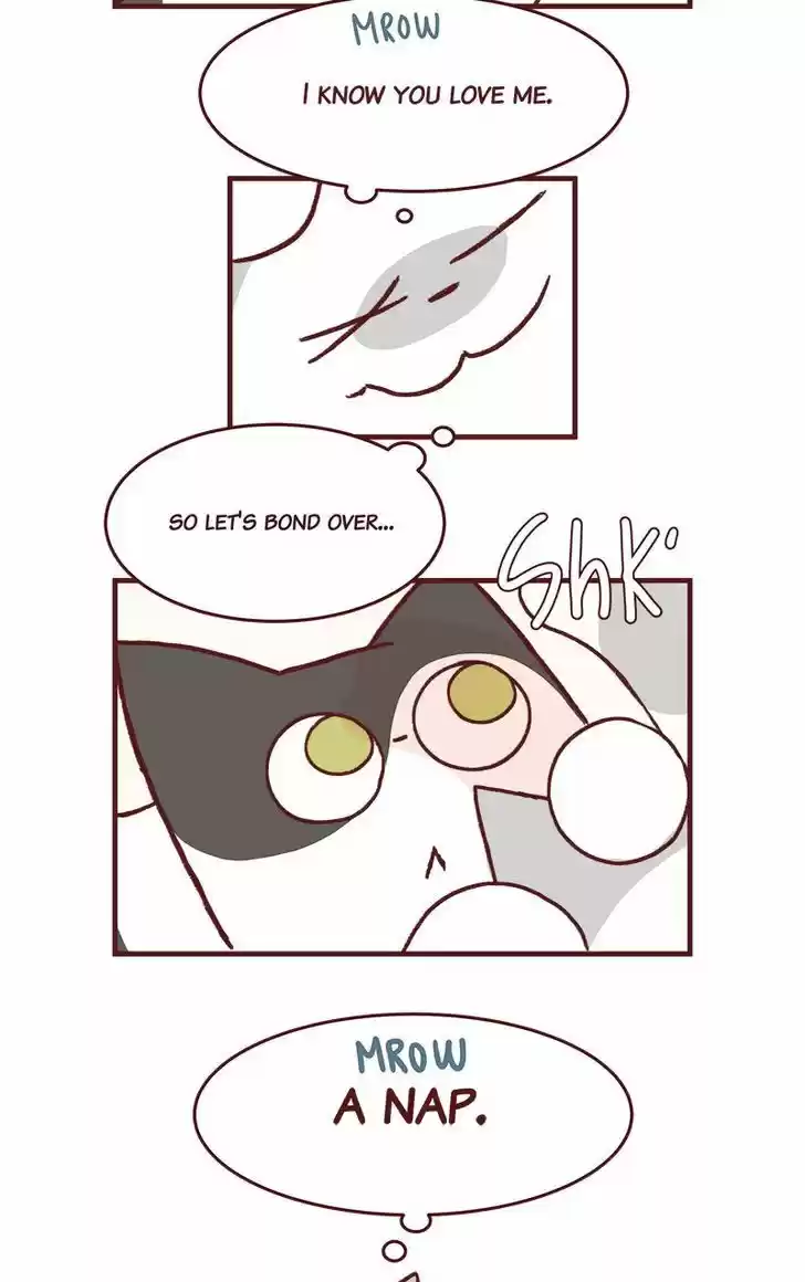 Saphie: The One-Eyed Cat 163