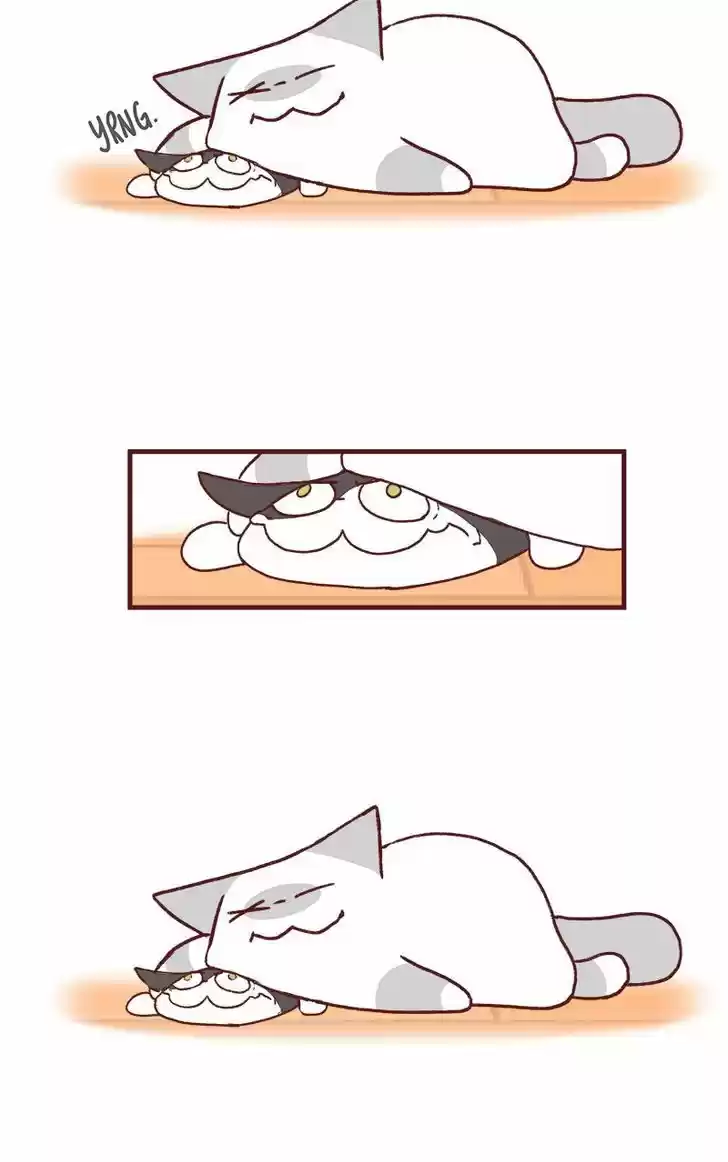 Saphie: The One-Eyed Cat 163