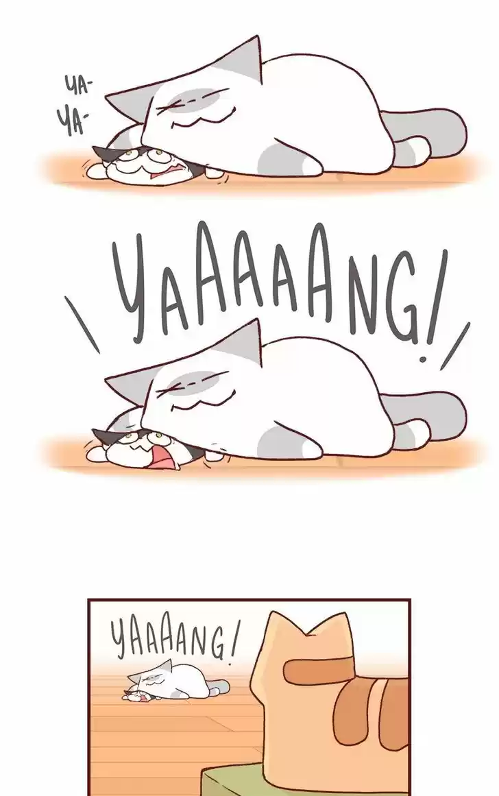 Saphie: The One-Eyed Cat 163