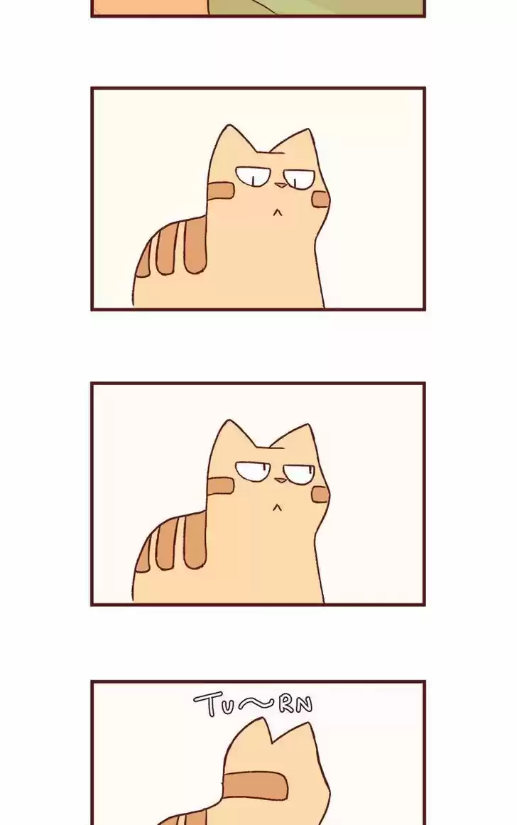 Saphie: The One-Eyed Cat 163