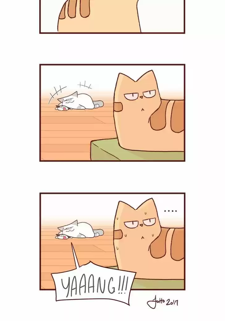 Saphie: The One-Eyed Cat 163