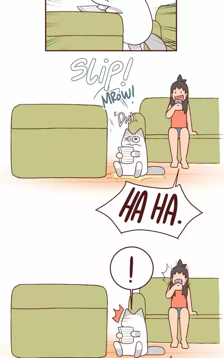 Saphie: The One-Eyed Cat 164