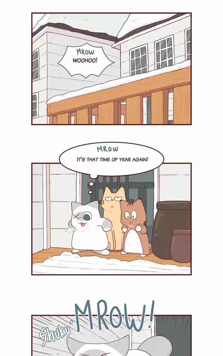 Saphie: The One-Eyed Cat 166