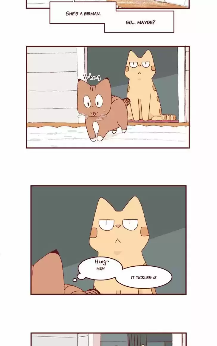 Saphie: The One-Eyed Cat 166