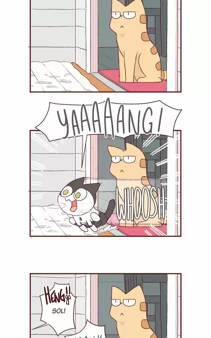 Saphie: The One-Eyed Cat 166