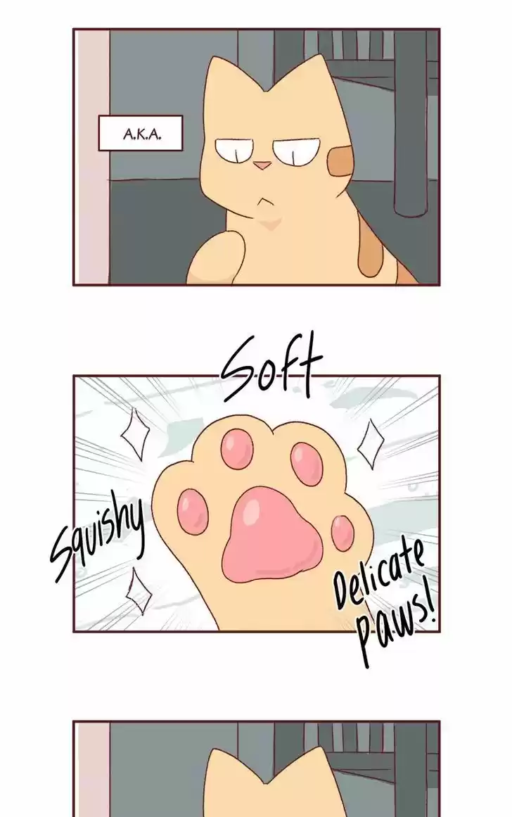 Saphie: The One-Eyed Cat 166