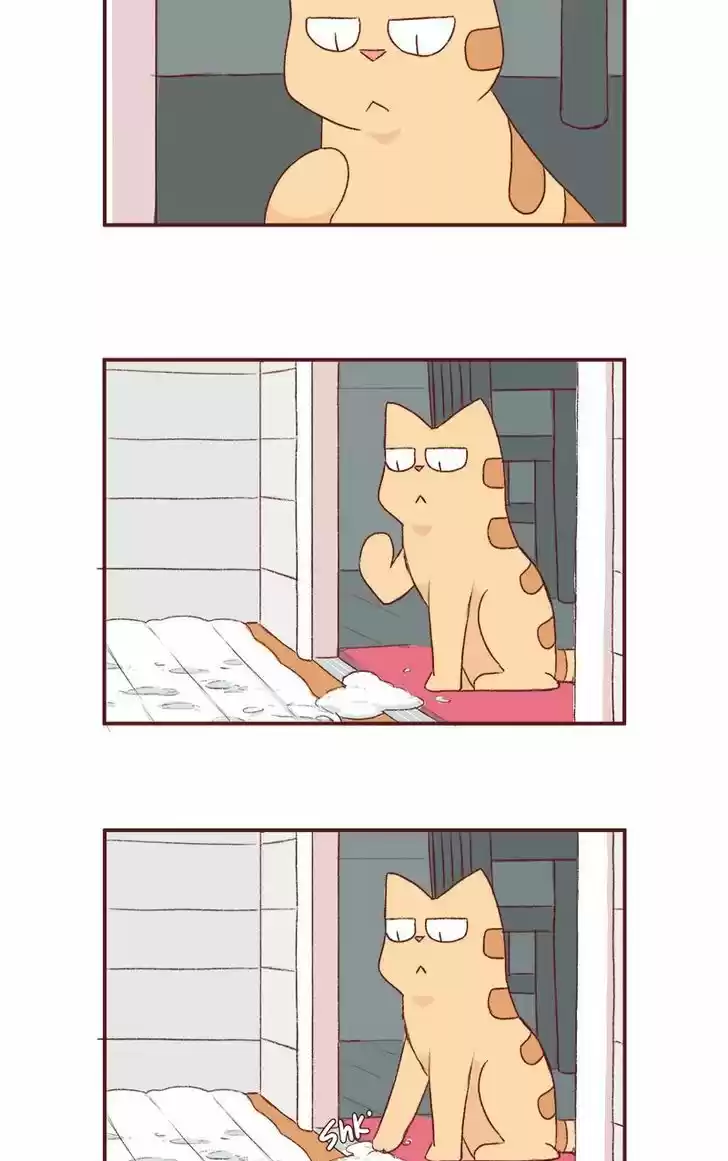 Saphie: The One-Eyed Cat 166