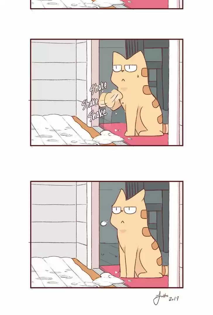 Saphie: The One-Eyed Cat 166