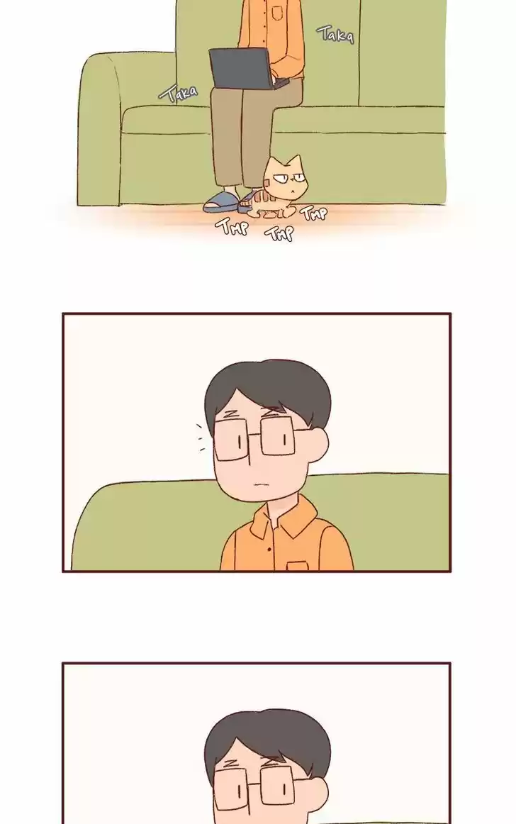 Saphie: The One-Eyed Cat 167