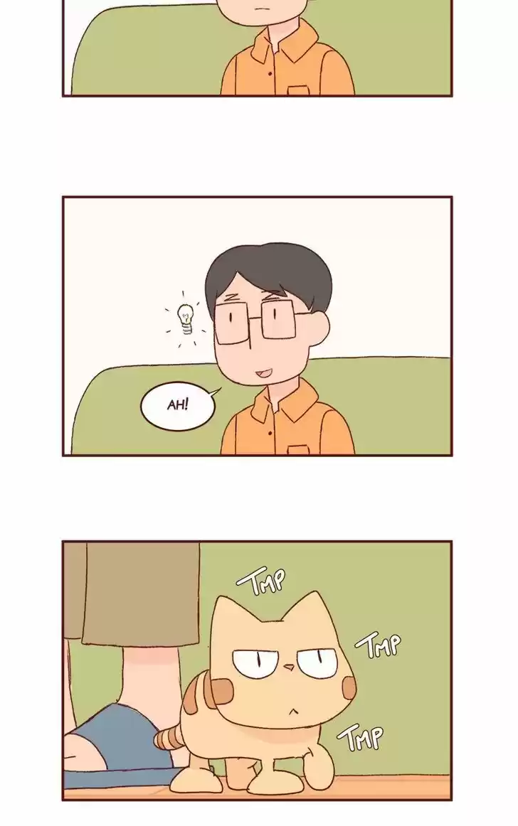 Saphie: The One-Eyed Cat 167