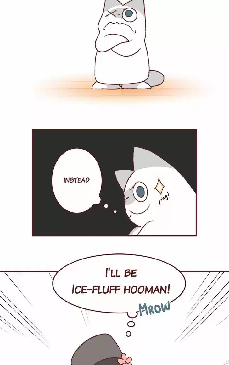 Saphie: The One-Eyed Cat 168