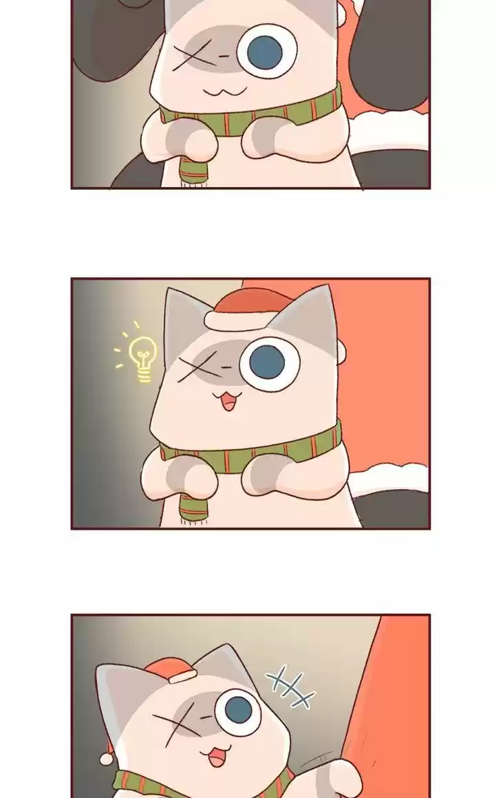 Saphie: The One-Eyed Cat 169