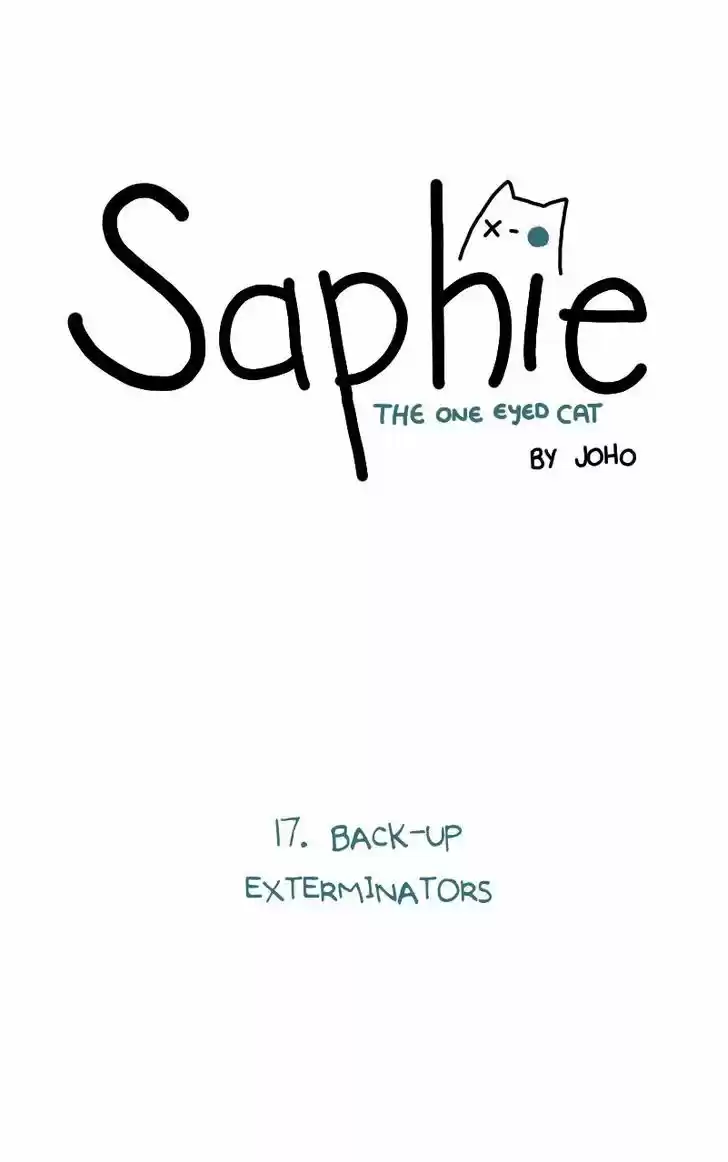 Saphie: The One-Eyed Cat 17