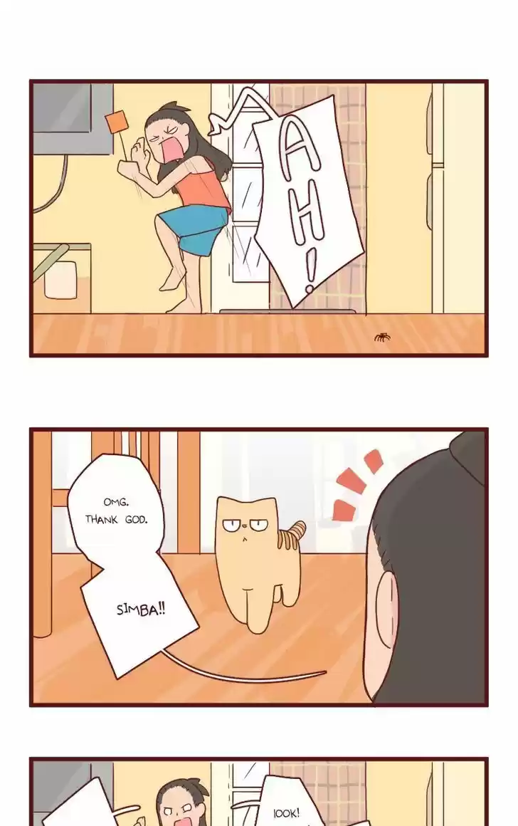 Saphie: The One-Eyed Cat 17