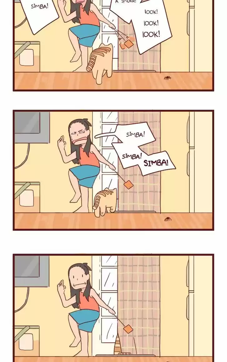 Saphie: The One-Eyed Cat 17