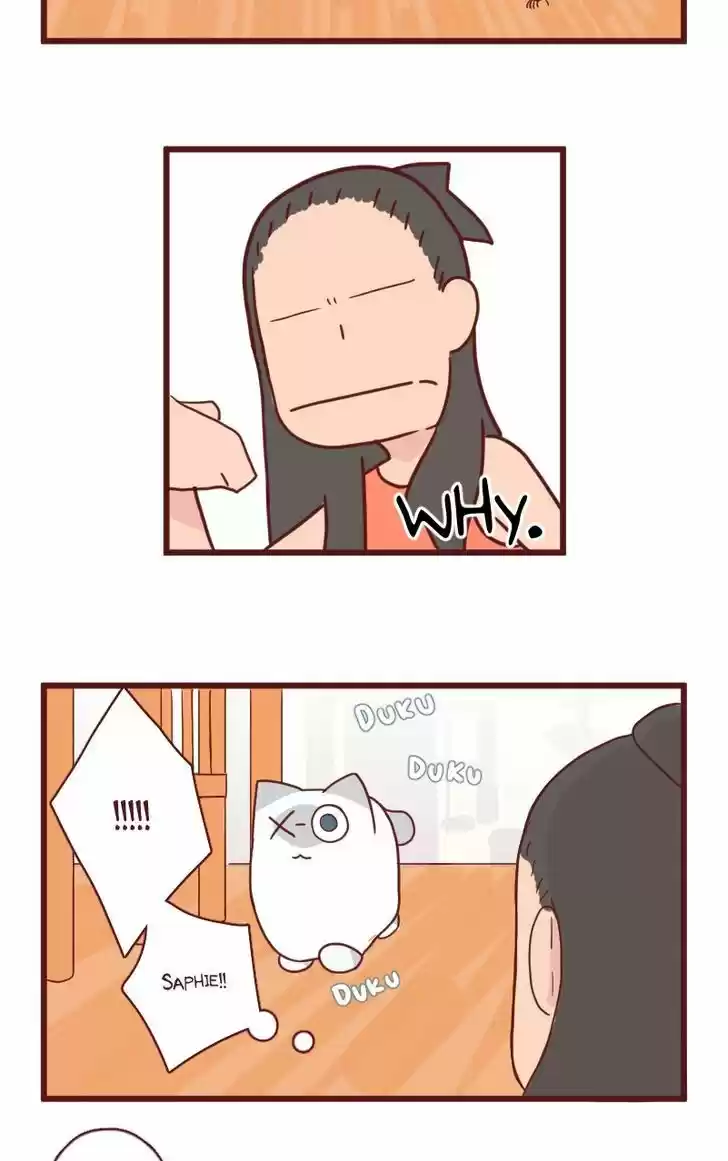 Saphie: The One-Eyed Cat 17