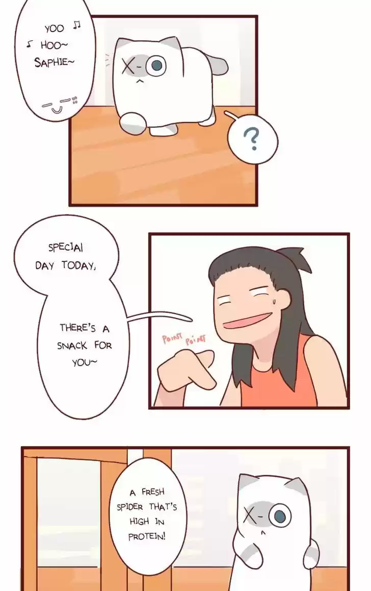 Saphie: The One-Eyed Cat 17