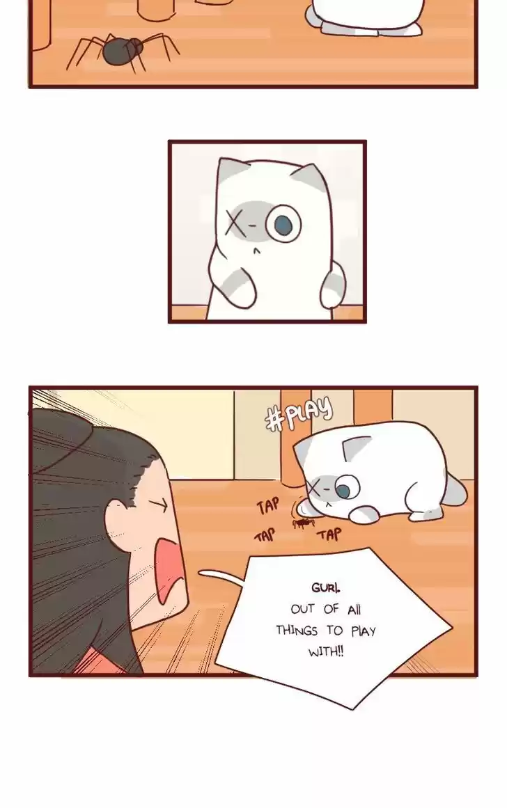 Saphie: The One-Eyed Cat 17