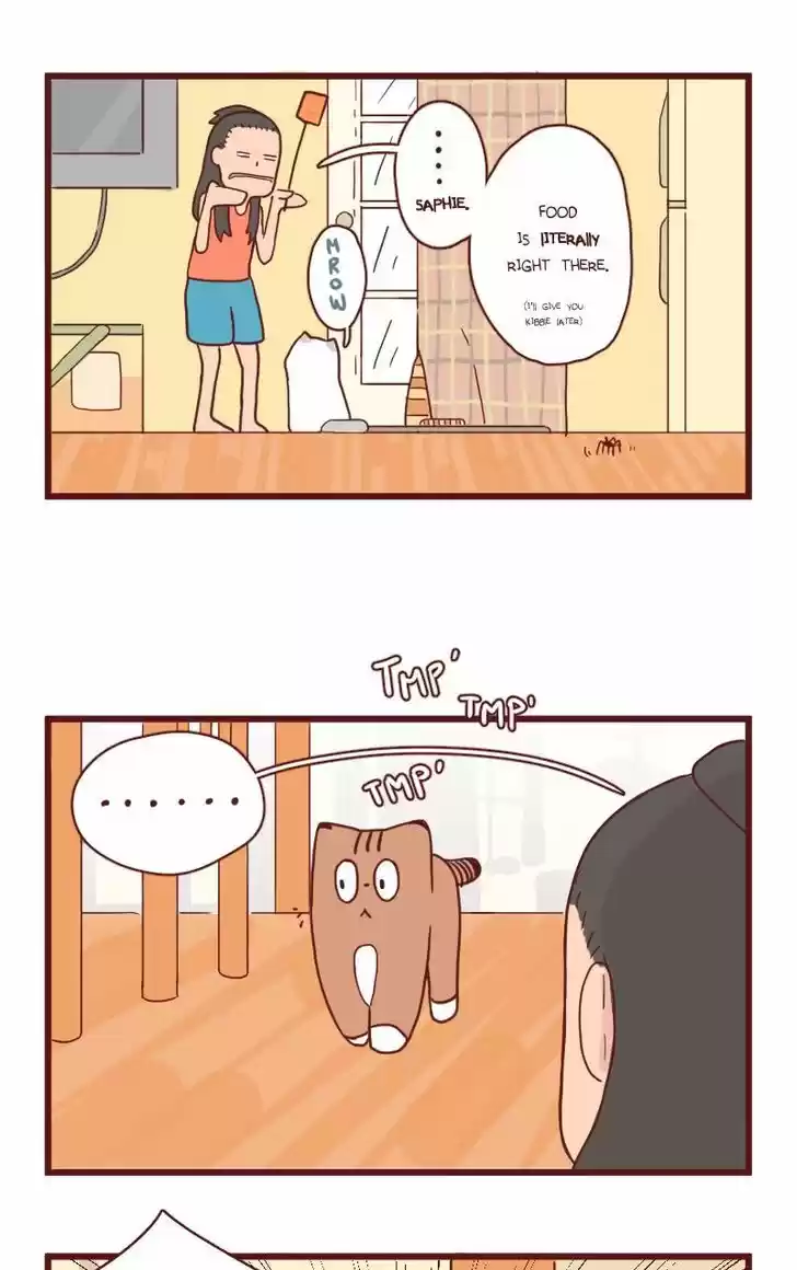 Saphie: The One-Eyed Cat 17