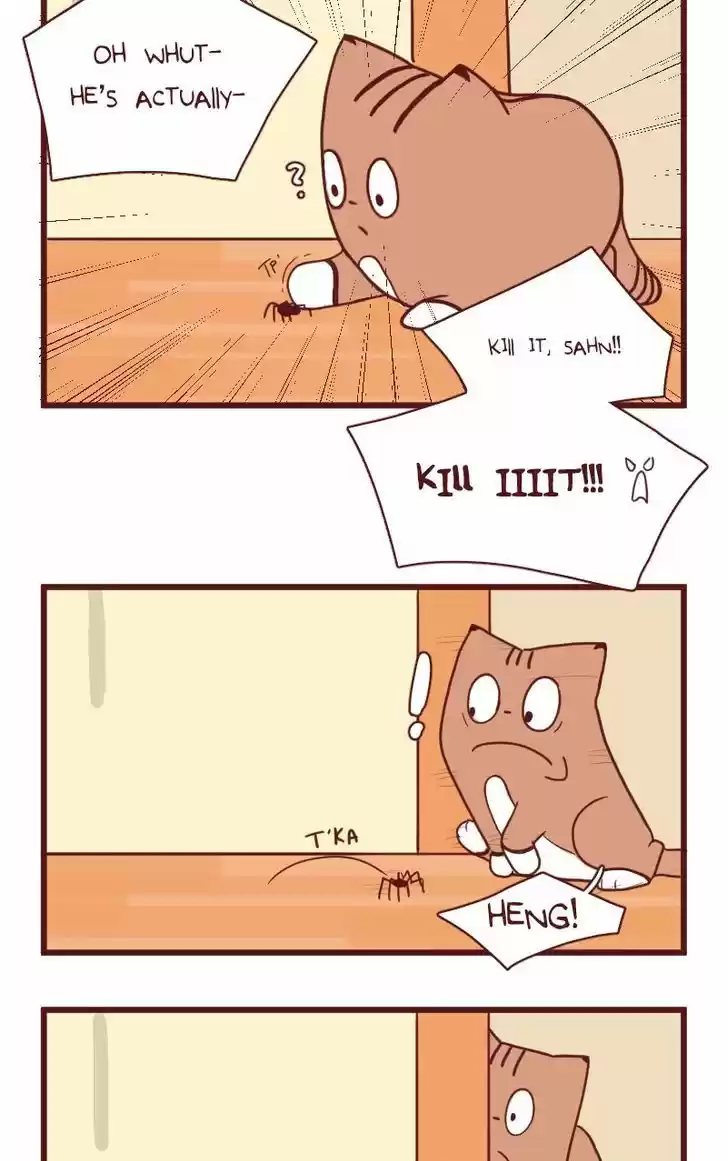 Saphie: The One-Eyed Cat 17