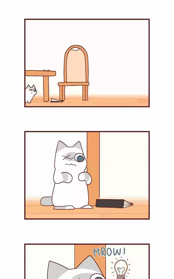 Saphie: The One-Eyed Cat 170