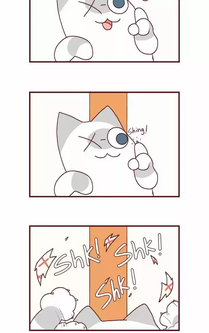 Saphie: The One-Eyed Cat 170