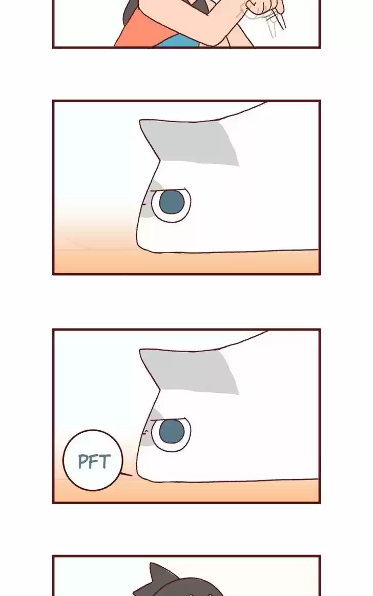 Saphie: The One-Eyed Cat 171