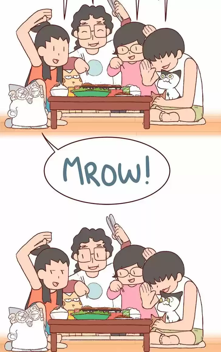 Saphie: The One-Eyed Cat 171