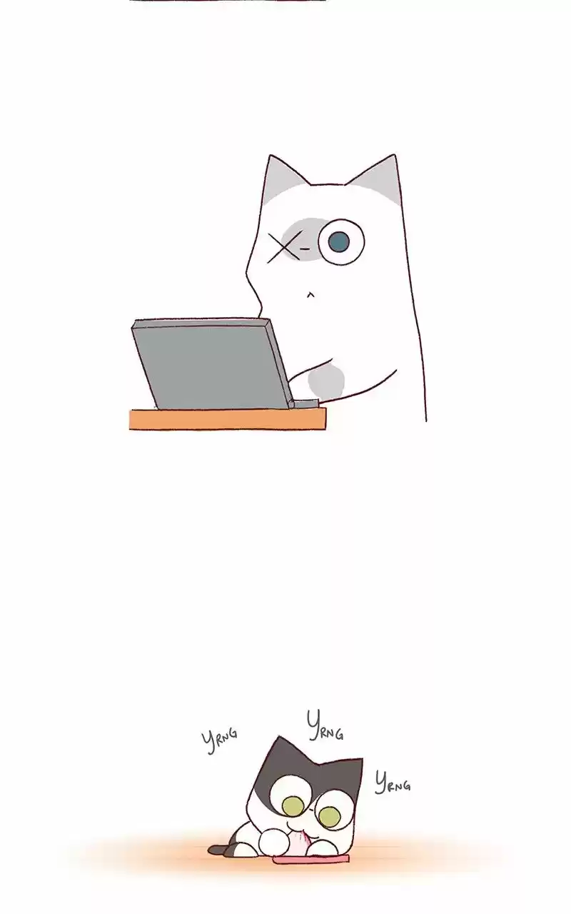 Saphie: The One-Eyed Cat 172