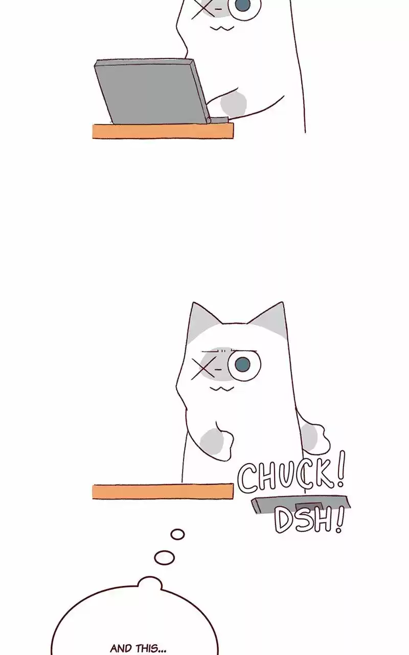 Saphie: The One-Eyed Cat 172