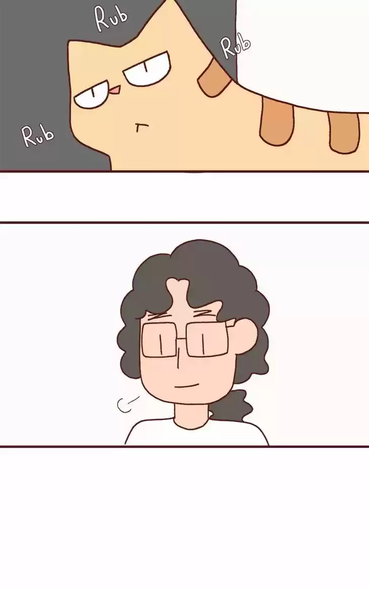 Saphie: The One-Eyed Cat 174