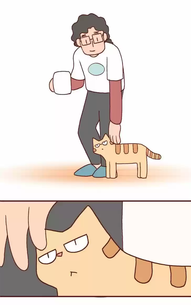 Saphie: The One-Eyed Cat 174