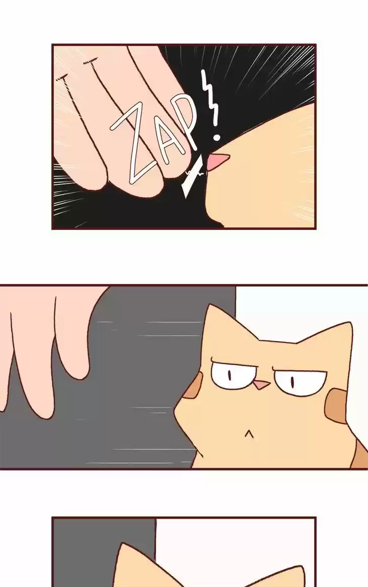 Saphie: The One-Eyed Cat 174