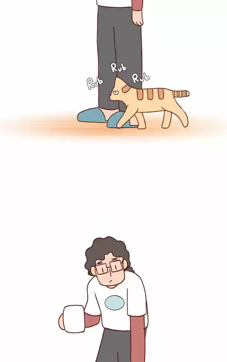 Saphie: The One-Eyed Cat 174