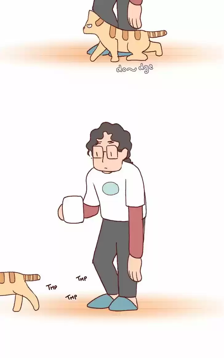 Saphie: The One-Eyed Cat 174