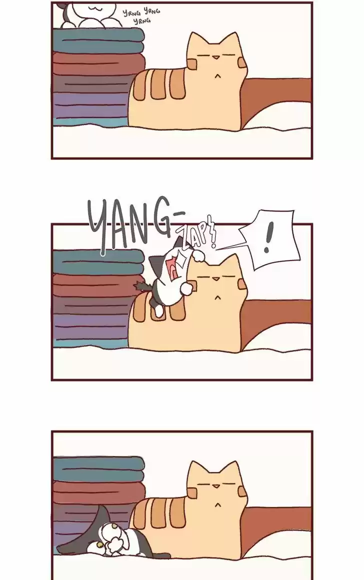 Saphie: The One-Eyed Cat 174