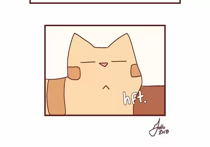 Saphie: The One-Eyed Cat 174