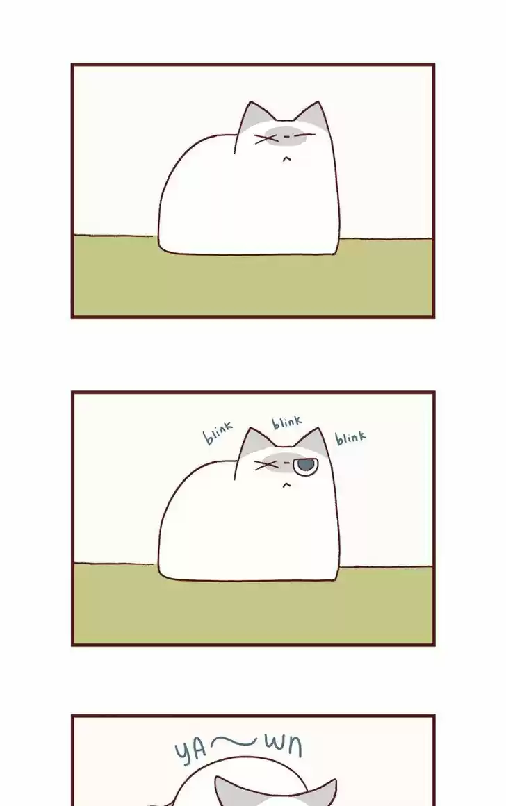 Saphie: The One-Eyed Cat 175