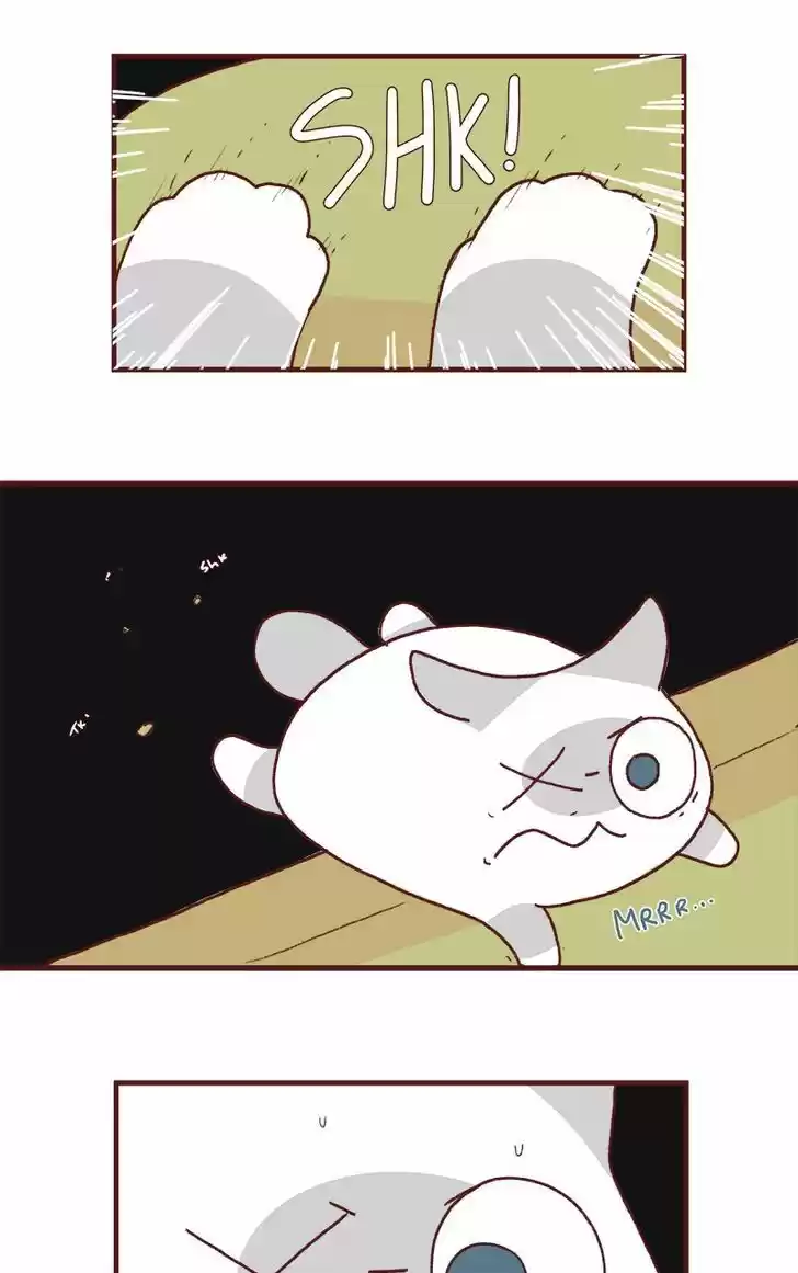 Saphie: The One-Eyed Cat 175