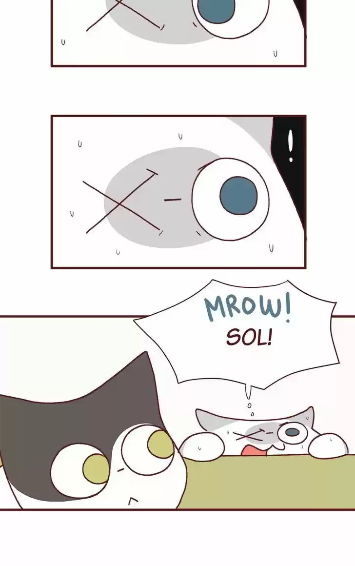 Saphie: The One-Eyed Cat 175