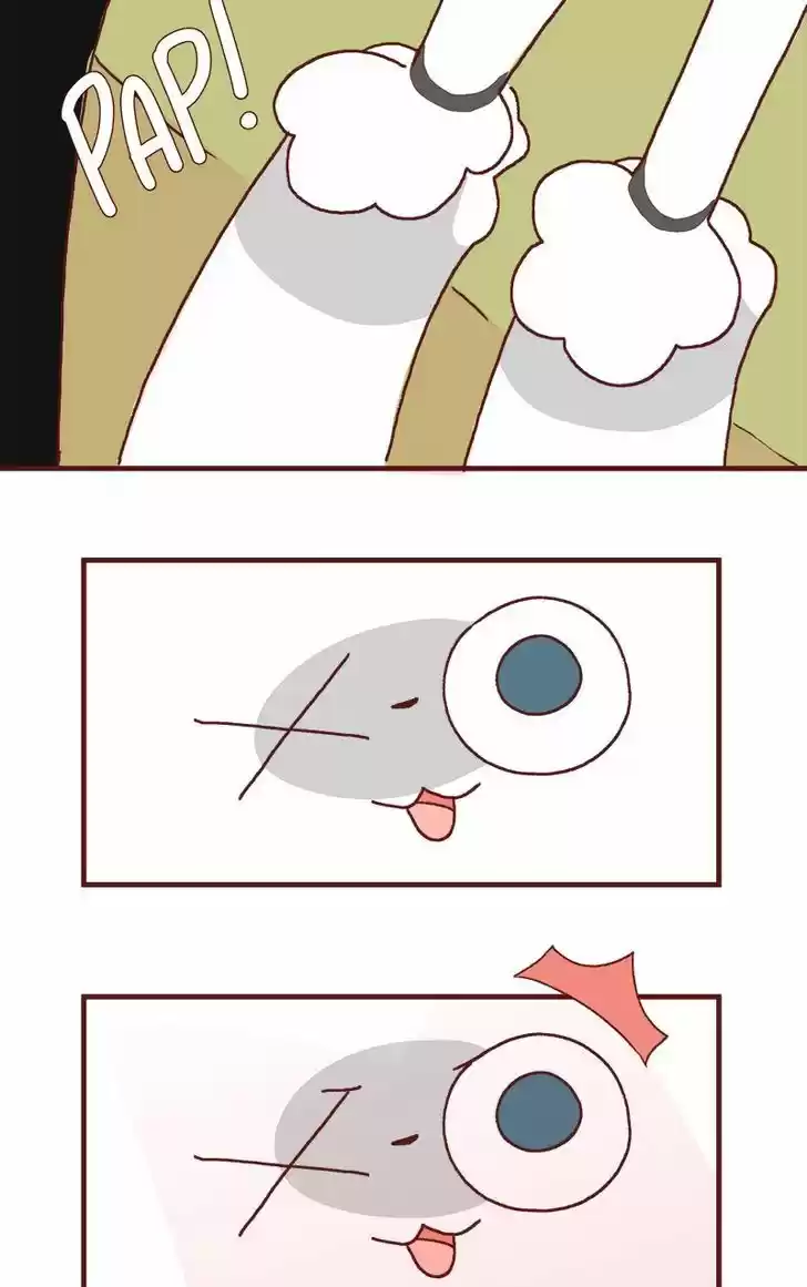 Saphie: The One-Eyed Cat 175